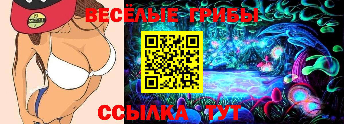 что такое наркотик  Псилоцибиновые грибы мухоморы  Барнаул  Вход с VPN  Псилоцибиновые грибы Magic Shrooms 